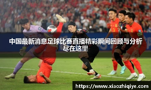 3377体育官网下载