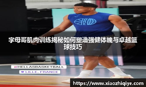 3377体育官网
