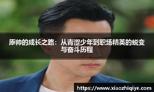 3377体育官网下载