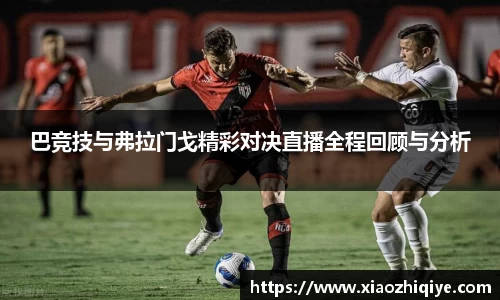 3377体育官网下载