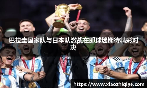 3377体育官网下载