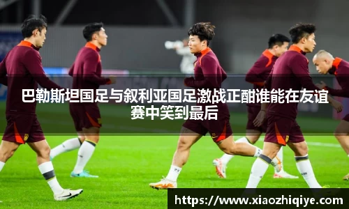 3377体育官网下载