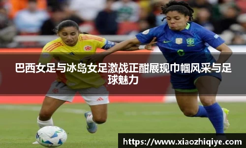 3377体育官网下载