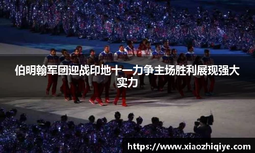 3377体育官网下载