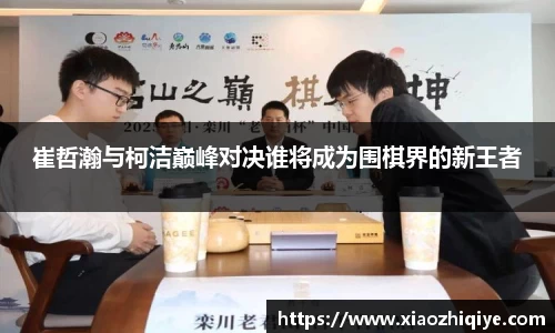 3377体育官网下载