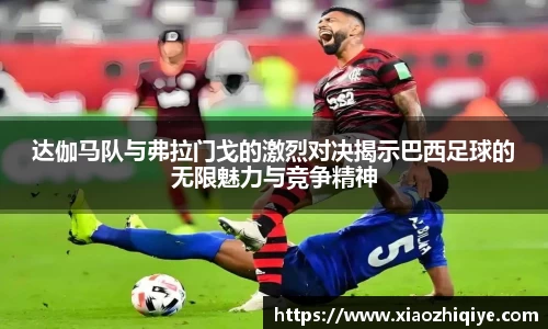 3377体育官网下载