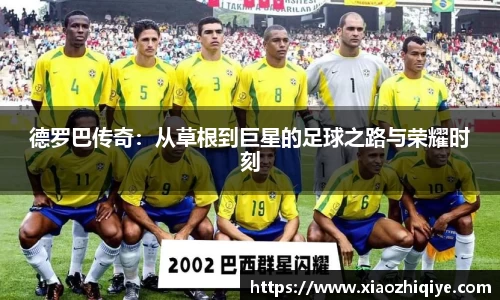 3377体育官网下载