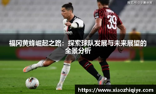 福冈黄蜂崛起之路：探索球队发展与未来展望的全景分析