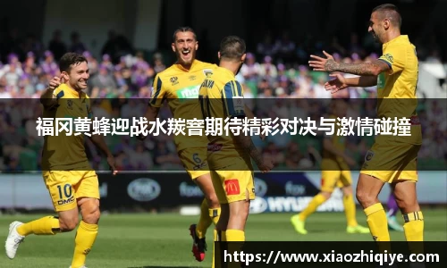 福冈黄蜂迎战水羰窨期待精彩对决与激情碰撞